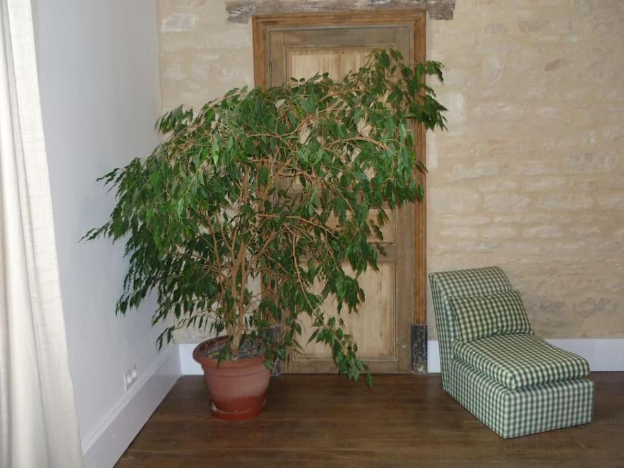 Le Presbytere - Touillon, Jacuzzi, 4 Chambres Pour 10 Zewnętrze zdjęcie